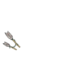 Archer