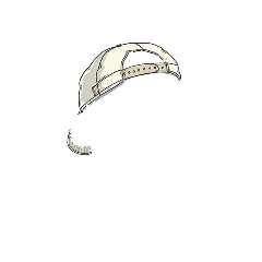 Backwards Snapback