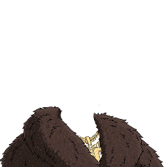Bear Coat