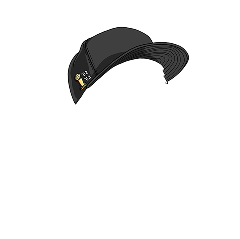 Champ Hat