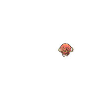 Clown Nose