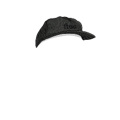 Free Snapback