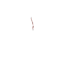 God of War