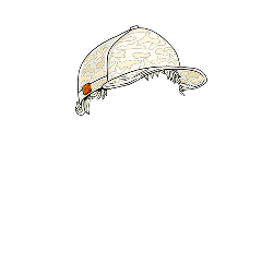 Minimalist Camo Cap