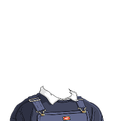 Nice Overalls