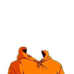 Orange Hoodie