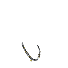 Silver Chain