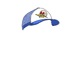 Skull Trucker Hat
