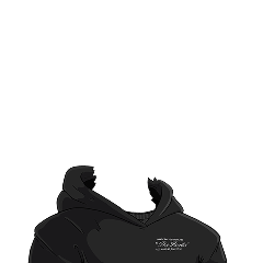 The Hoodie